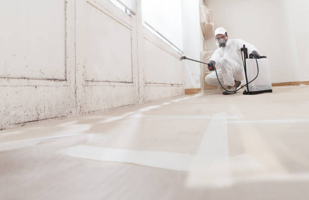 24/7 Emergency Crawl Space Mold Removal experts in Plano, TX